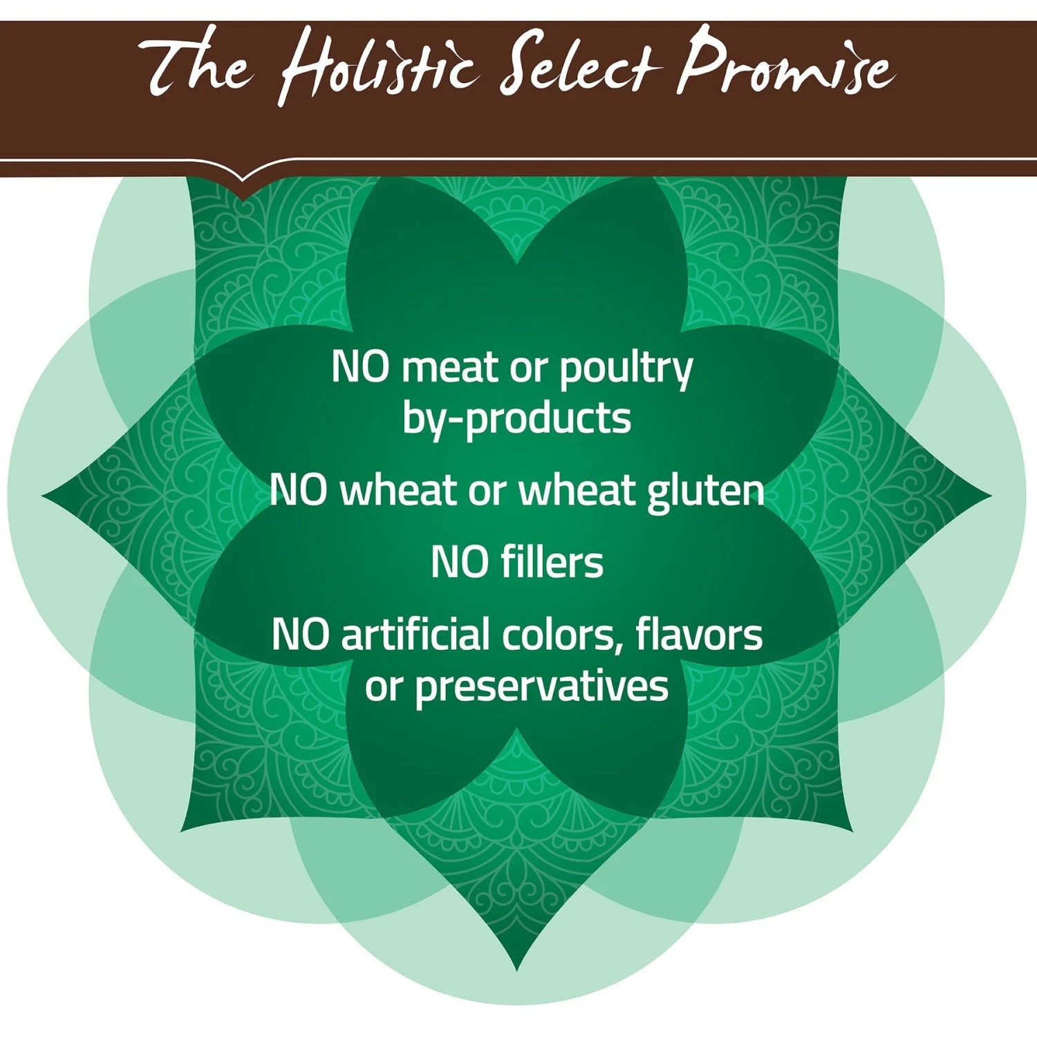 Holistic Select Large & Giant Breed Puppy Health Lamb Meal & Oatmeal Recipe Dry Dog Food 8 Holistic Select Large & Giant Breed Puppy Health Lamb Meal & Oatmeal Recipe Dry Dog Food - Image 6