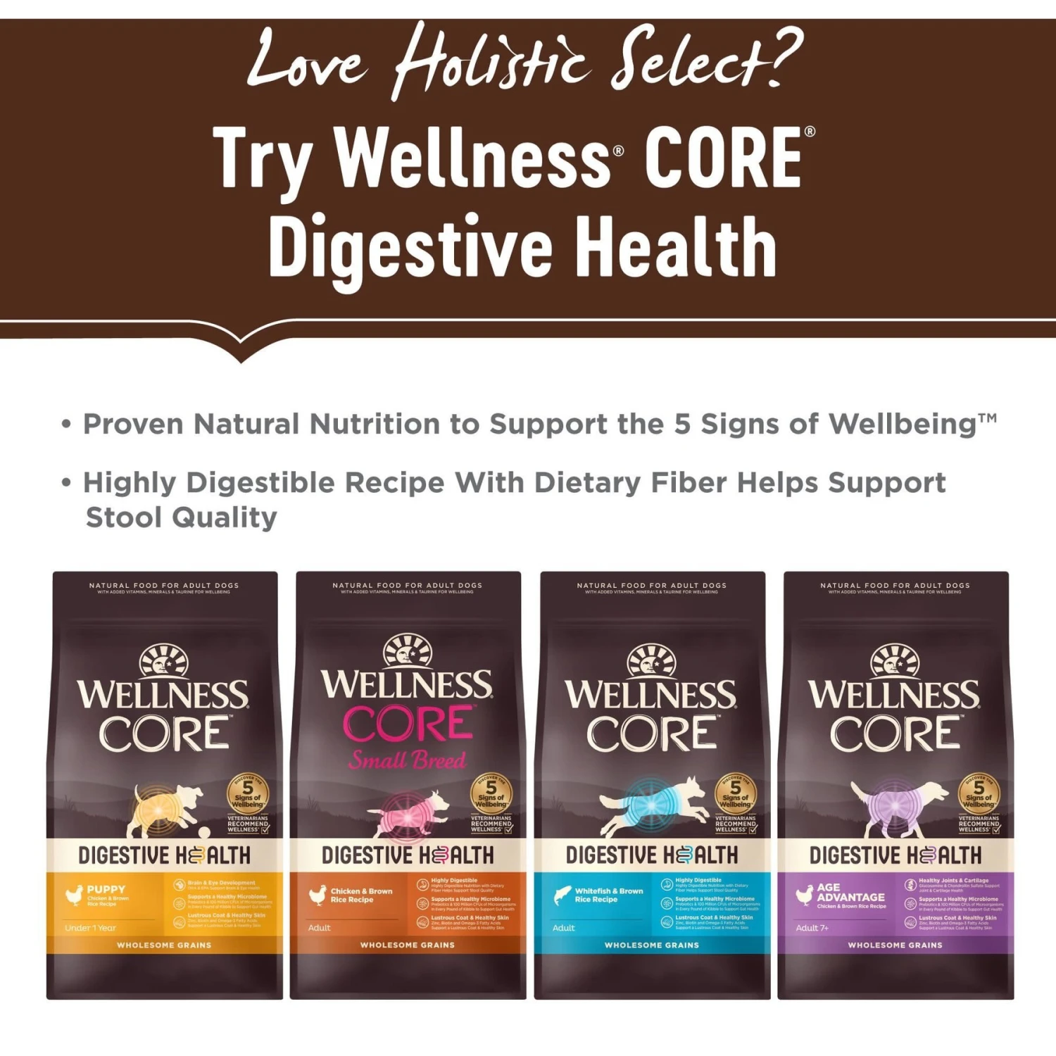 Holistic Select Large & Giant Breed Puppy Health Lamb Meal & Oatmeal Recipe Dry Dog Food 9 Holistic Select Large & Giant Breed Puppy Health Lamb Meal & Oatmeal Recipe Dry Dog Food - Image 7