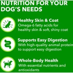 Iams ProActive Health Classic Ground With Slow Cooked Chicken & Rice Healthy Aging Senior Wet Dog Food 16 Iams ProActive Health Classic Ground With Slow Cooked Chicken & Rice Healthy Aging Senior Wet Dog Food -Blue Buffalo Shop 47672 PT7. AC SS1800 V1658230288