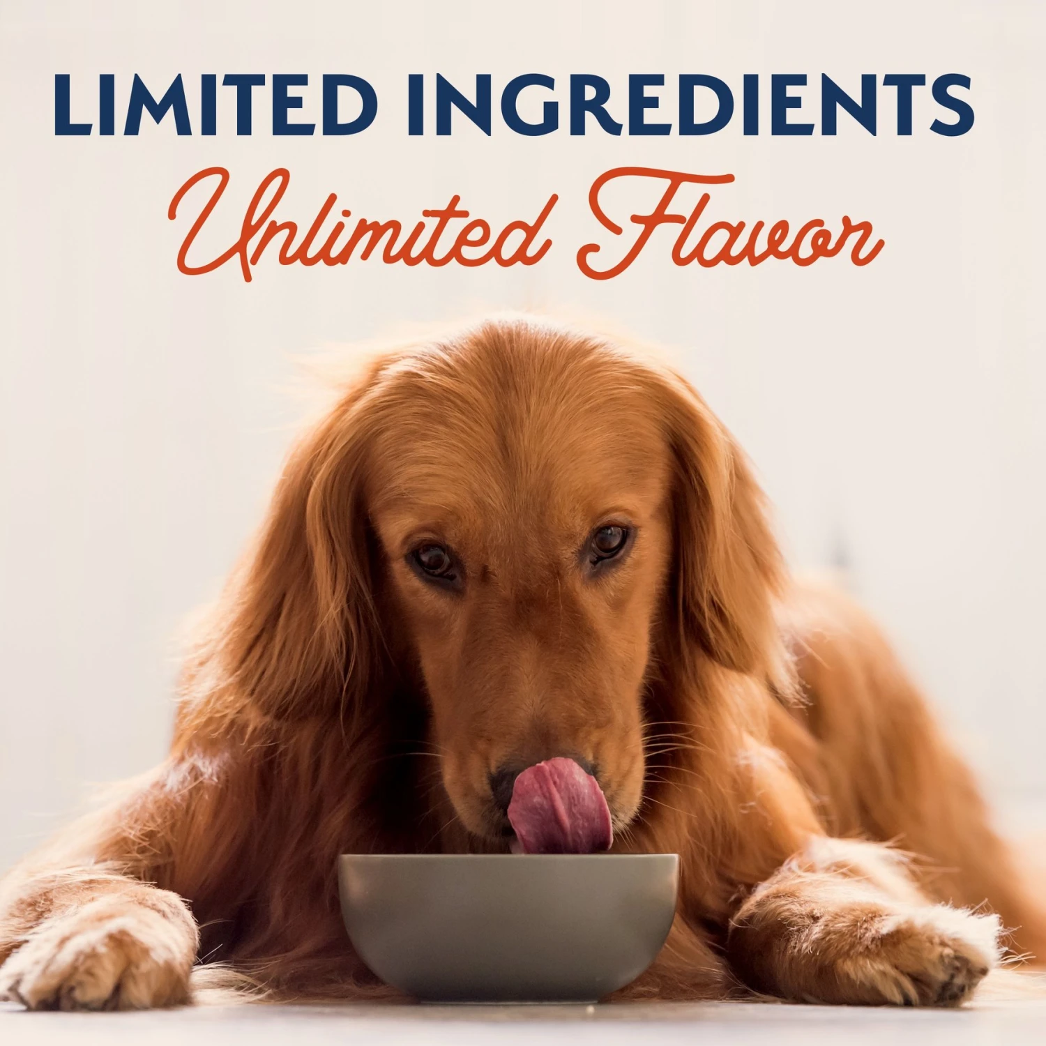 Natural Balance Limited Ingredient Grain-Free Sweet Potato & Salmon Wet Dog Food 9 Natural Balance Limited Ingredient Grain-Free Sweet Potato & Salmon Wet Dog Food - Image 7