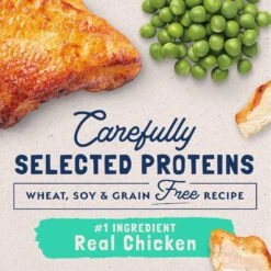 Natural Balance L.I.D. Limited Ingredient Diets Green Pea & Chicken Formula Grain-Free Dry Cat Food 12 Natural Balance L.I.D. Limited Ingredient Diets Green Pea & Chicken Formula Grain-Free Dry Cat Food -Blue Buffalo Shop 48051 PT3. AC SS1800 V1668457300