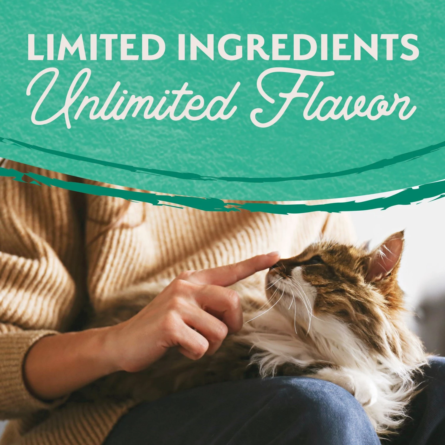 Natural Balance L.I.D. Limited Ingredient Diets Green Pea & Chicken Formula Grain-Free Dry Cat Food 7 Natural Balance L.I.D. Limited Ingredient Diets Green Pea & Chicken Formula Grain-Free Dry Cat Food - Image 5