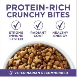 Purina ONE +Plus Hairball Formula Natural Adult Dry Cat Food 13 Purina ONE +Plus Hairball Formula Natural Adult Dry Cat Food -Blue Buffalo Shop 48650 PT2. AC SS1800 V1677531400