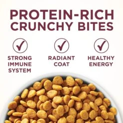 Purina ONE +Plus Urinary Tract Health Formula High Protein Adult Dry Cat Food -Blue Buffalo Shop 48651 PT2. AC SS1800 V1657657678