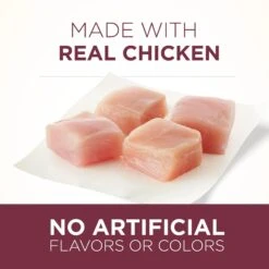 Purina ONE +Plus Urinary Tract Health Formula High Protein Adult Dry Cat Food -Blue Buffalo Shop 48651 PT3. AC SS1800 V1653407782