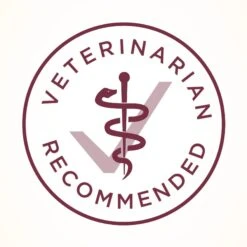 Purina ONE +Plus Urinary Tract Health Formula High Protein Adult Dry Cat Food -Blue Buffalo Shop 48651 PT6. AC SS1800 V1657657678