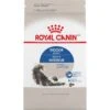 Royal Canin Feline Health Nutrition Indoor Adult Dry Cat Food 1 Royal Canin Feline Health Nutrition Indoor Adult Dry Cat Food -Blue Buffalo Shop 48674 MAIN. AC SS1800 V1697736251