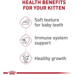 Royal Canin Feline Health Nutrition Thin Slices In Gravy Wet Kitten Food 11 Royal Canin Feline Health Nutrition Thin Slices In Gravy Wet Kitten Food -Blue Buffalo Shop 48733 PT2. AC SS1800 V1702071405