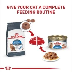 Royal Canin Feline Care Nutrition Weight Care Adult Thin Slices In Gravy Canned Cat Food -Blue Buffalo Shop 48738 PT5. AC SS1800 V1694790517