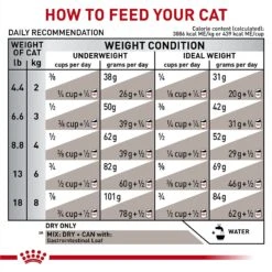 Royal Canin Veterinary Diet Adult Gastrointestinal Dry Cat Food -Blue Buffalo Shop 48752 PT8. AC SS1800 V1691702812