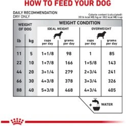Royal Canin Veterinary Diet Adult Hydrolyzed Protein PS Dry Dog Food -Blue Buffalo Shop 48844 PT7. AC SS1800 V1684417060