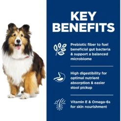 Hill's Science Diet Adult Sensitive Stomach & Sensitive Skin Chicken Recipe Dry Dog Food -Blue Buffalo Shop 48856 PT5. AC SS1800 V1634575573