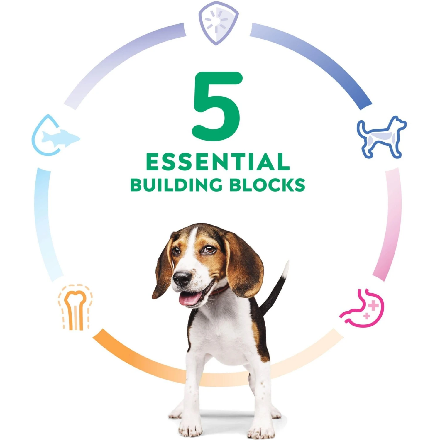 Hill's Science Diet Puppy Chicken & Barley Entree Canned Dog Food 7 Hill's Science Diet Puppy Chicken & Barley Entree Canned Dog Food - Image 5