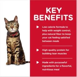 Hill's Science Diet Adult Light Liver & Chicken Entree Canned Cat Food 14 Hill's Science Diet Adult Light Liver & Chicken Entree Canned Cat Food -Blue Buffalo Shop 48963 PT3. AC SS1800 V1598157360