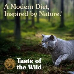 Taste Of The Wild Rocky Mountain Feline Recipe With Salmon & Venison In Gravy Canned Cat Food -Blue Buffalo Shop 49083 PT3. AC SS1800 V1660850367