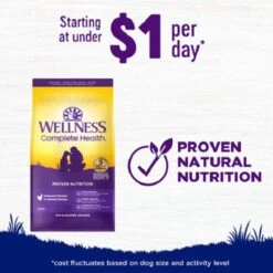 Wellness Large Breed Complete Health Adult Deboned Chicken & Brown Rice Recipe Dry Dog Food 13 Wellness Large Breed Complete Health Adult Deboned Chicken & Brown Rice Recipe Dry Dog Food -Blue Buffalo Shop 49175 PT4. AC SS1800 V1594849875