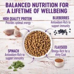 Wellness Complete Health Puppy Deboned Chicken, Oatmeal & Salmon Meal Recipe Dry Dog Food 11 Wellness Complete Health Puppy Deboned Chicken, Oatmeal & Salmon Meal Recipe Dry Dog Food -Blue Buffalo Shop 49183 PT2. AC SS1800 V1677616437