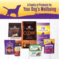 Wellness Turkey & Duck Stew With Sweet Potatoes & Cranberries Canned Dog Food 15 Wellness Turkey & Duck Stew With Sweet Potatoes & Cranberries Canned Dog Food -Blue Buffalo Shop 49220 PT5. AC SS1800 V1657657682