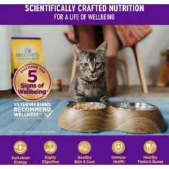 Wellness Complete Health Adult Beef & Chicken Formula Grain-Free Canned Cat Food -Blue Buffalo Shop 49257 PT4. AC SS1800 V1594848053