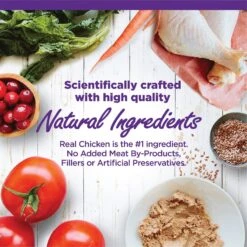 Wellness Complete Health Kitten Chicken Entree Recipe Natural Canned Cat Food 13 Wellness Complete Health Kitten Chicken Entree Recipe Natural Canned Cat Food -Blue Buffalo Shop 49274 PT2. AC SS1800 V1690899634