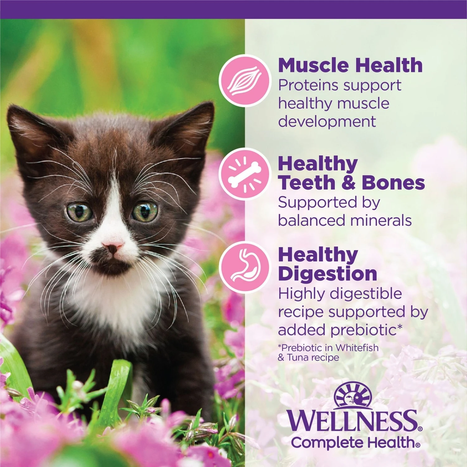 Wellness Complete Health Kitten Chicken Entree Recipe Natural Canned Cat Food 7 Wellness Complete Health Kitten Chicken Entree Recipe Natural Canned Cat Food - Image 5