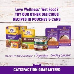 Wellness Complete Health Kitten Chicken Entree Recipe Natural Canned Cat Food 18 Wellness Complete Health Kitten Chicken Entree Recipe Natural Canned Cat Food -Blue Buffalo Shop 49274 PT7. AC SS1800 V1690904768