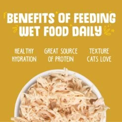 Weruva Paw Lickin' Chicken In Gravy Grain-Free Canned Cat Food 15 Weruva Paw Lickin' Chicken In Gravy Grain-Free Canned Cat Food -Blue Buffalo Shop 49319 PT5. AC SS1800 V1643074002