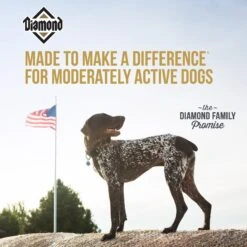 Diamond Maintenance Formula Adult Dry Dog Food -Blue Buffalo Shop 49781 PT4. AC SS1800 V1641259583