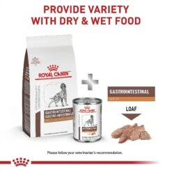 Royal Canin Veterinary Diet Adult Gastrointestinal Low Fat Dry Dog Food -Blue Buffalo Shop 49952 PT5. AC SS1800 V1691702116