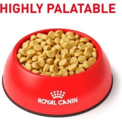 Royal Canin Veterinary Diet Adult Selected Protein PD Dry Dog Food 13 Royal Canin Veterinary Diet Adult Selected Protein PD Dry Dog Food -Blue Buffalo Shop 49957 PT2. AC SS1800 V1684417060