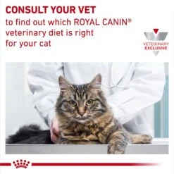 Royal Canin Veterinary Diet Adult Selected Protein PD Dry Cat Food -Blue Buffalo Shop 49972 PT8. AC SS1800 V1692389738