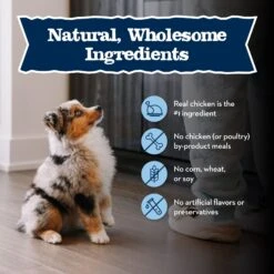 Blue Buffalo Baby Blue Healthy Growth Formula Natural Chicken & Vegetable Recipe Puppy Wet Food, 12.5-oz Cans, Case Of 12 -Blue Buffalo Shop 502134 PT5. AC SS1800 V1647637036