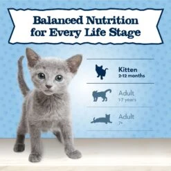 Blue Buffalo Baby Blue Healthy Growth Formula Grain-Free High Protein Salmon Recipe Kitten Wet Food, 3-oz Cans, Case Of 24 17 Blue Buffalo Baby Blue Healthy Growth Formula Grain-Free High Protein Salmon Recipe Kitten Wet Food, 3-oz Cans, Case Of 24 -Blue Buffalo Shop 502278 PT7. AC SS1800 V1647638580