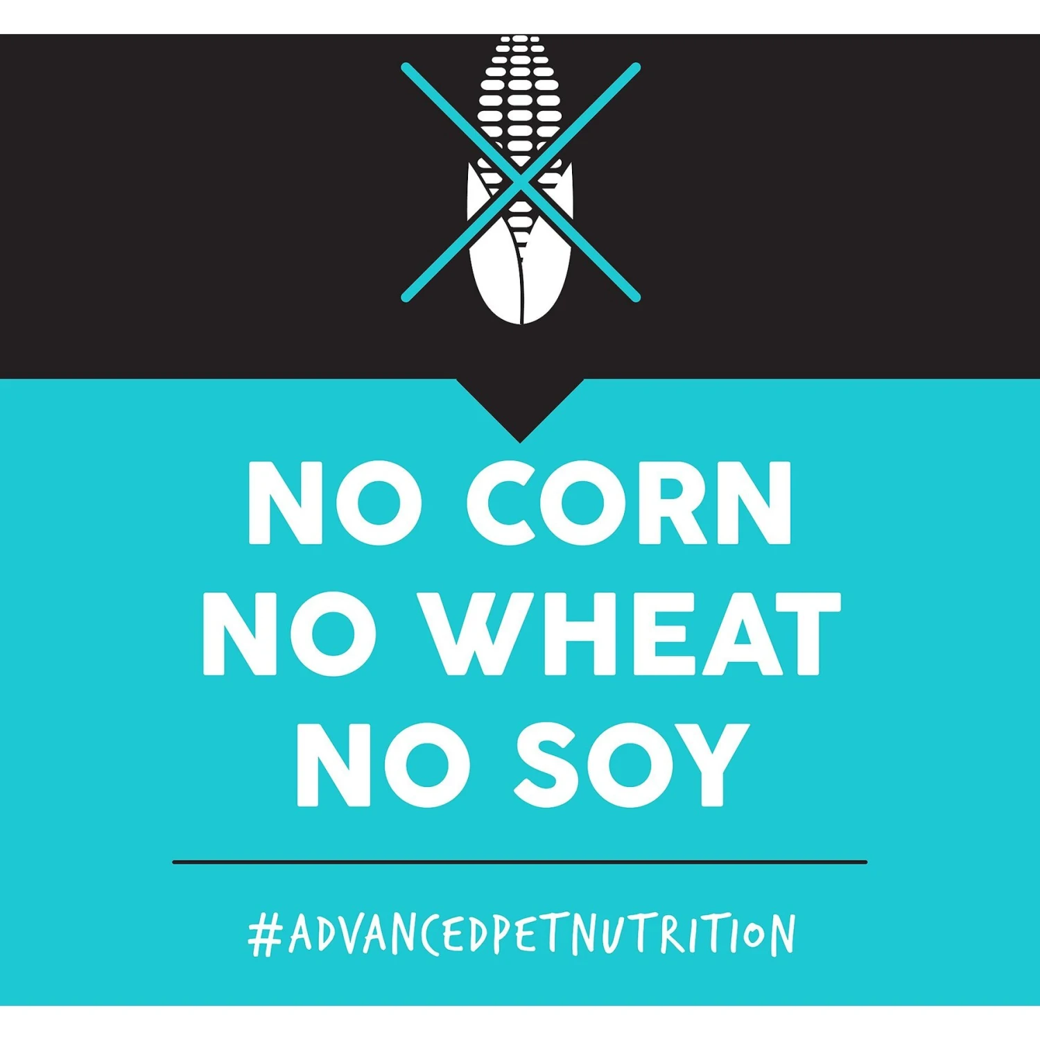 Ultimates Bayside Select Fish & Potato Grain-Free Dry Dog Food 7 Ultimates Bayside Select Fish & Potato Grain-Free Dry Dog Food - Image 5