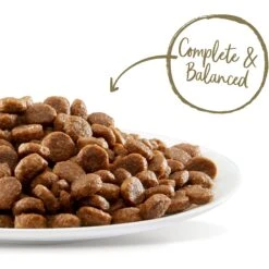 Applaws Adult Complete Chicken Recipe With Country Vegetables Grain-Free Dry Cat Food & Applaws Adult Complete Whitefish Recipe With Country Vegetables Grain-Free Dry Cat Food 17 Applaws Adult Complete Chicken Recipe With Country Vegetables Grain-Free Dry Cat Food & Applaws Adult Complete Whitefish Recipe With Country Vegetables Grain-Free Dry Cat Food -Blue Buffalo Shop 502926 PT6. AC SS1800 V1648477004