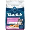 Blue Buffalo Tastefuls Sensitive Stomach Natural Chicken Adult Dry Cat Food -Blue Buffalo Shop 50765 MAIN. AC SS1800 V1692637616