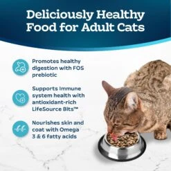 Blue Buffalo Tastefuls Sensitive Stomach Natural Chicken Adult Dry Cat Food -Blue Buffalo Shop 50765 PT3. AC SS1800 V1692642080