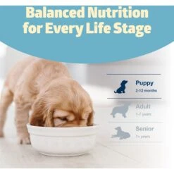 Blue Buffalo Freedom Puppy Chicken Recipe Grain-Free Dry Dog Food -Blue Buffalo Shop 50829 PT7. AC SS1800 V1649117185