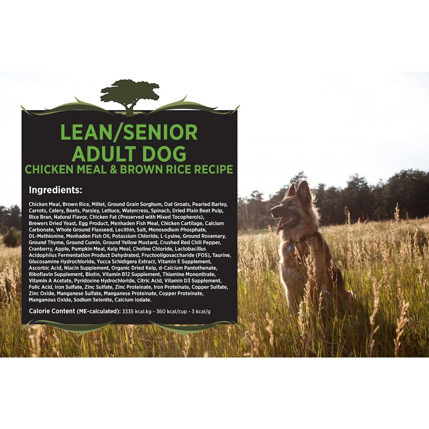 Blackwood Chicken Meal & Rice Recipe Lean Diet Adult Dry Dog Food 5 Blackwood Chicken Meal & Rice Recipe Lean Diet Adult Dry Dog Food - Image 3