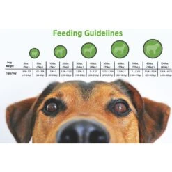 Blackwood Chicken Meal & Rice Recipe Lean Diet Adult Dry Dog Food 12 Blackwood Chicken Meal & Rice Recipe Lean Diet Adult Dry Dog Food -Blue Buffalo Shop 50920 PT4. AC SS1800 V1550528318