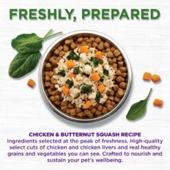 Wellness Bowl Boosters Freshly Frozen Fresh Chicken & Butternut Squash Dog Food 13 Wellness Bowl Boosters Freshly Frozen Fresh Chicken & Butternut Squash Dog Food -Blue Buffalo Shop 511846 PT2. AC SS1800 V1660707207