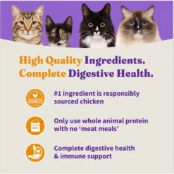 Halo Holistic Indoor Chicken Recipe Complete Digestive Health & Healthy Weight Support Adult Grain-Free Cage-Free Dry Cat Food -Blue Buffalo Shop 51454 PT5. AC SS1800 V1676299411