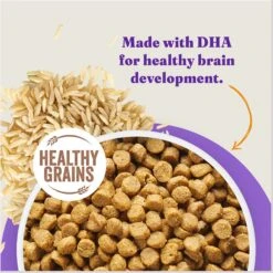 Halo Holistic Complete Digestive Health Chicken & Brown Rice Recipe Puppy Dry Dog Food -Blue Buffalo Shop 51467 PT4. AC SS1800 V1675712634