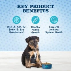 Blue Buffalo Baby Blue Healthy Growth Formula Natural Chicken & Brown Rice Recipe Puppy Dry Food & Blue Buffalo Baby Blue Healthy Growth Formula Natural Chicken & Vegetable Recipe Puppy Wet Food, 12.5-oz Cans, Case Of 12 -Blue Buffalo Shop 514998 PT4. AC SS1800 V1649338588