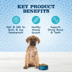 Blue Buffalo Baby Blue Large Breed Healthy Growth Formula Natural Chicken & Brown Rice Recipe Puppy Dry Food, 24-lb Bag & Blue Buffalo Baby Blue Healthy Growth Formula Natural Chicken & Vegetable Recipe Puppy Wet Food, 12.5-oz Cans, Case Of 12 -Blue Buffalo Shop 515022 PT4. AC SS1800 V1649348033