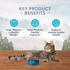 Blue Buffalo Wilderness Weight Control Chicken Recipe Grain-Free Dry Cat Food -Blue Buffalo Shop 51552 PT3. AC SS1800 V1570660704