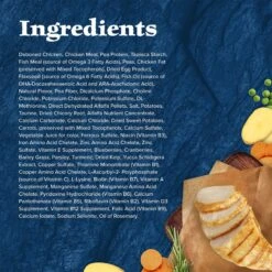 Blue Buffalo Wilderness High Protein Natural Grain-Free Chicken Kitten Dry Cat Food -Blue Buffalo Shop 51555 PT4. AC SS1800 V1689357580