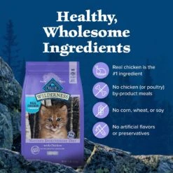 Blue Buffalo Wilderness High Protein Natural Grain-Free Chicken Kitten Dry Cat Food -Blue Buffalo Shop 51555 PT5. AC SS1800 V1689355800
