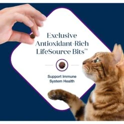 Blue Buffalo Basics Skin & Stomach Care Grain-Free Turkey & Potato Recipe Indoor Adult Dry Cat Food -Blue Buffalo Shop 51727 PT6. AC SS1800 V1646277395