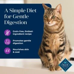 Blue Buffalo Basics Skin & Stomach Care Grain-Free Turkey & Potato Entree Indoor Adult Canned Cat Food -Blue Buffalo Shop 51734 PT2. AC SS1800 V1646253722